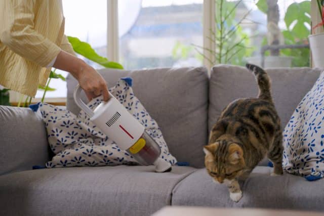 Managing Allergies While Traveling with Pets - Featured Image