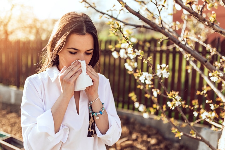 What is The Difference Between Seasonal Allergies and Year-Round Allergies
